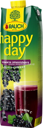 Rauch Happy Day Schwarze Johannisbeere, 1l