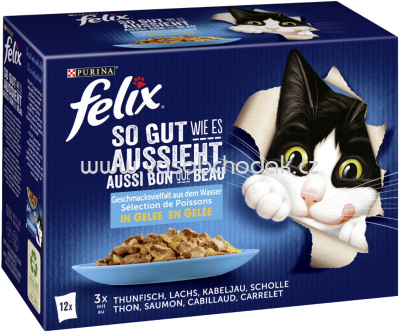 Purina Felix So gut wie es aussieht Geschmacksvielfalt aus dem Wasser in Gelee, 12x85g